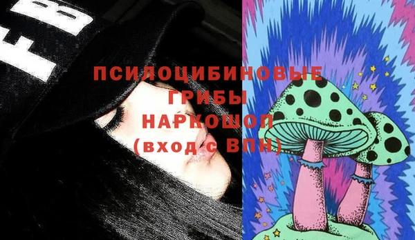 прущие крисы Абинск