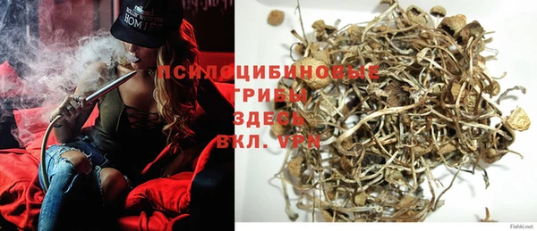 хмурый Гвардейск