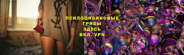 гидропоника Абаза