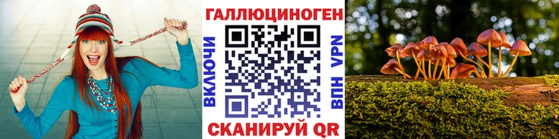 блэк спрут онион  Кингисепп  Псилоцибиновые грибы прущие грибы  цена наркотик 