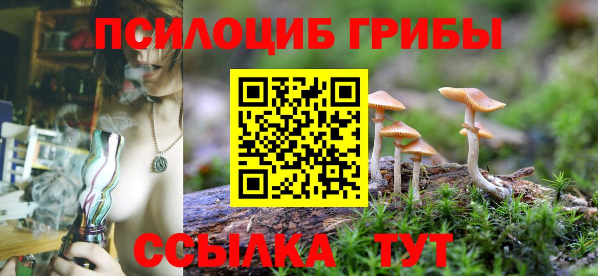 Галлюциногенные грибы Cubensis Кингисепп