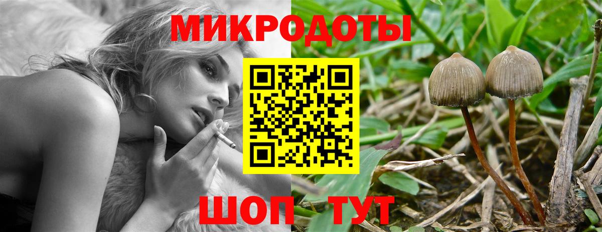 Кингисепп  Псилоцибиновые грибы GOLDEN TEACHER  Вход с VPN 