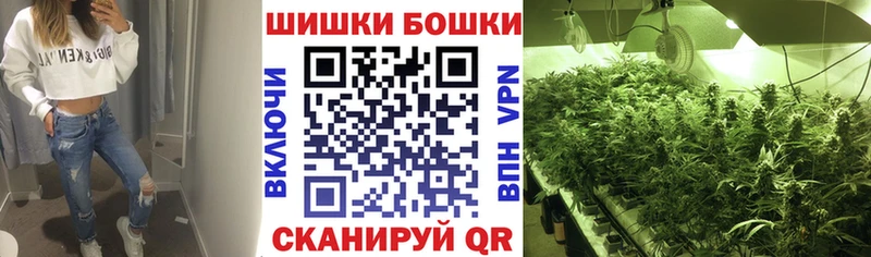 Марихуана планчик  Кингисепп 